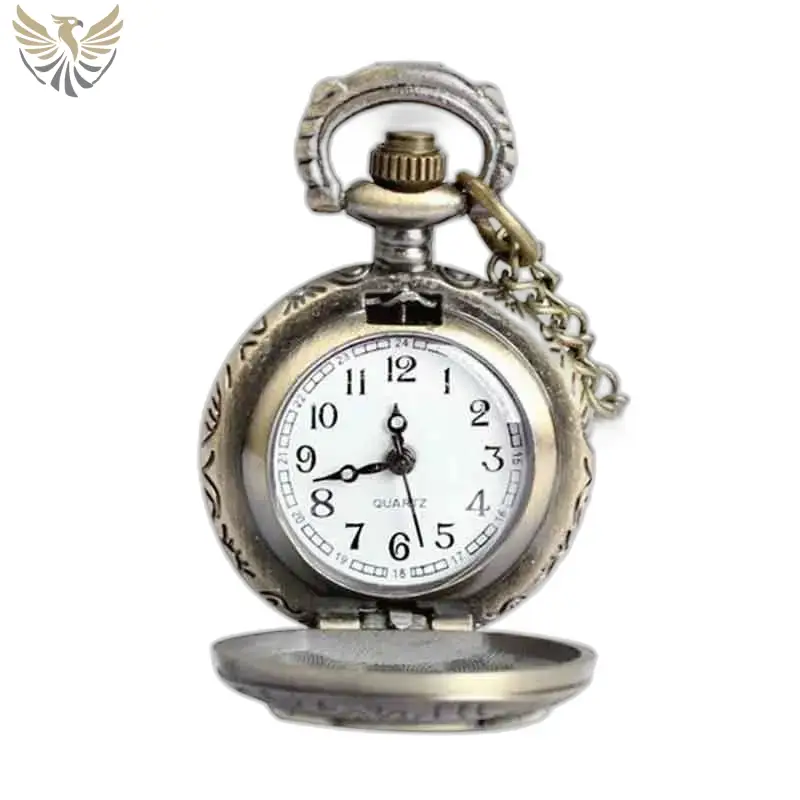 Antique-style pocket watch Montre à Gousset Maître Hibou Originale et Tendance