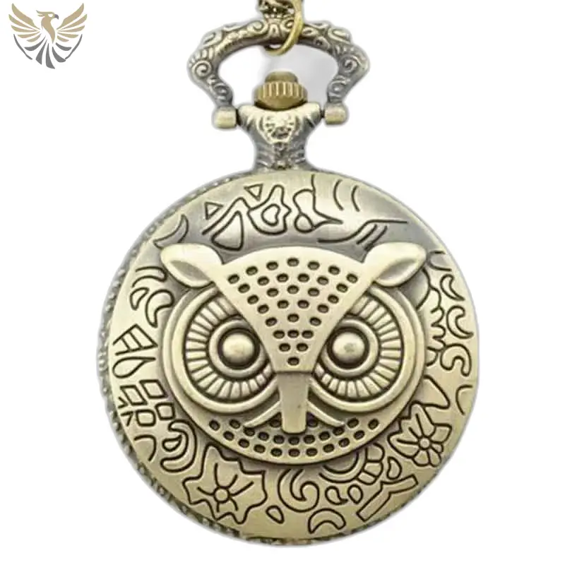 Montre à gousset Maître Hibou en bronze avec motif hibou élégant et tendance
